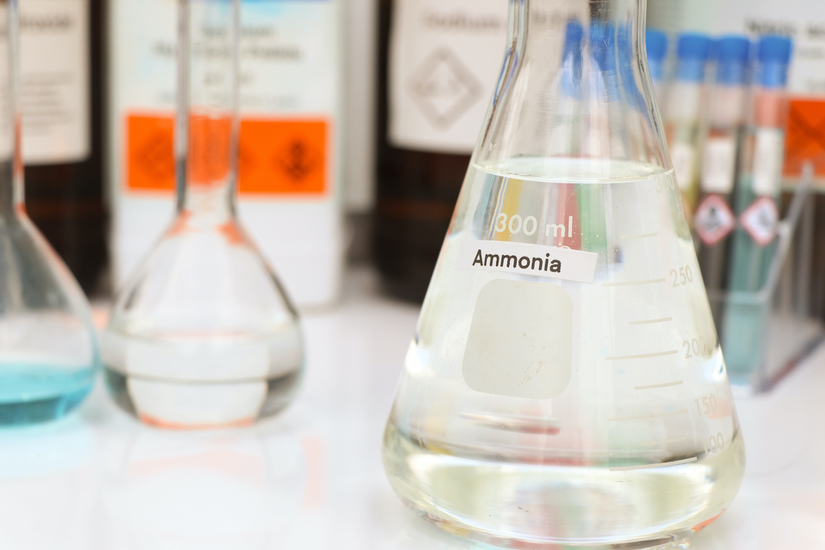 Ammonia in glass, chemicals in the laboratory and industry. Photo: iStock.com/Kittisak Kaewchalun
