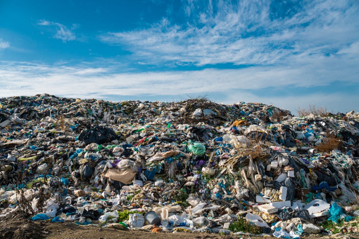 Across the globe, less than 10% of plastic waste is recycled, according to the most recent data from 2018 published by the Organisation for Economic Co-operation and Development. Photo: iStock.com/Yevhen Smyk
