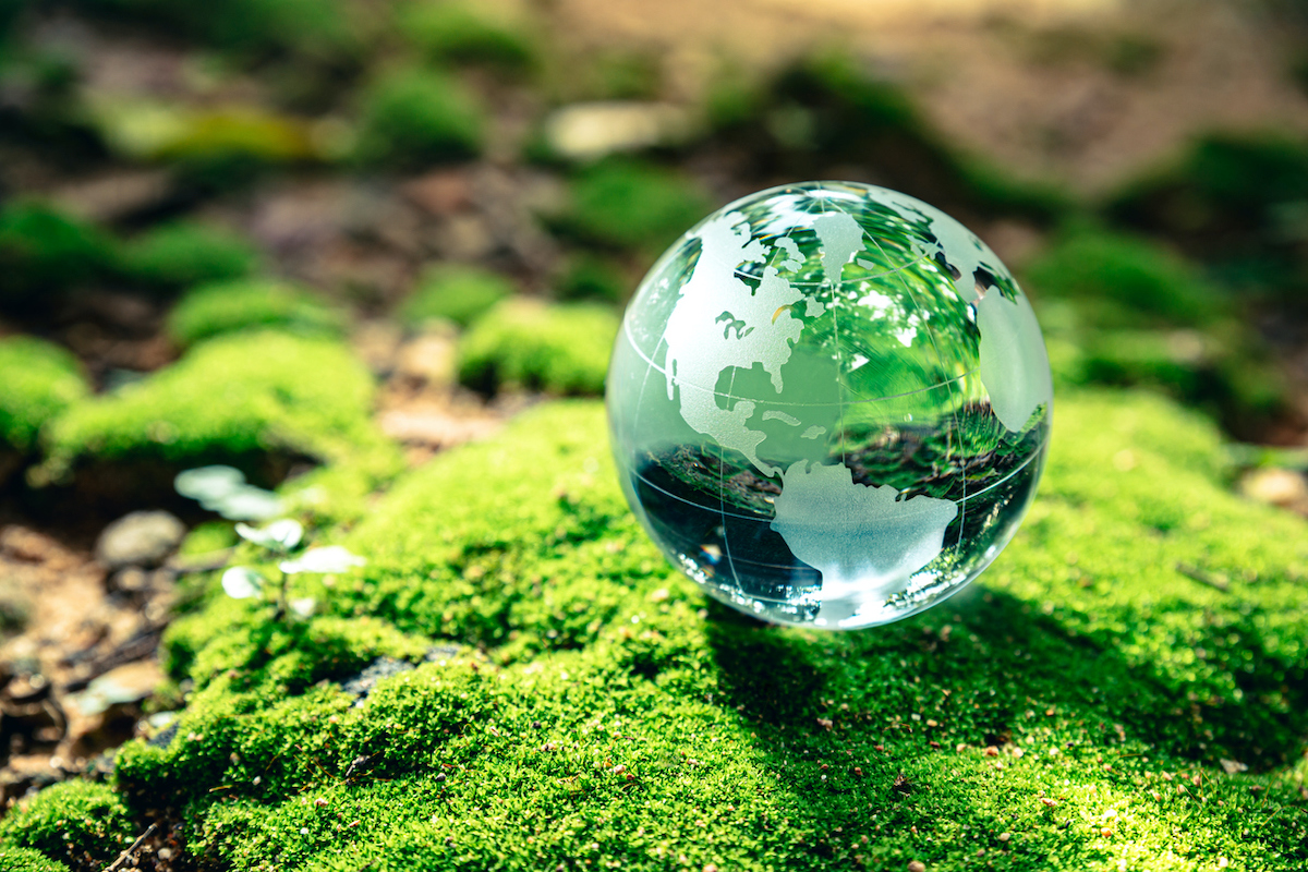 Photo: iStock / Thx4Stock