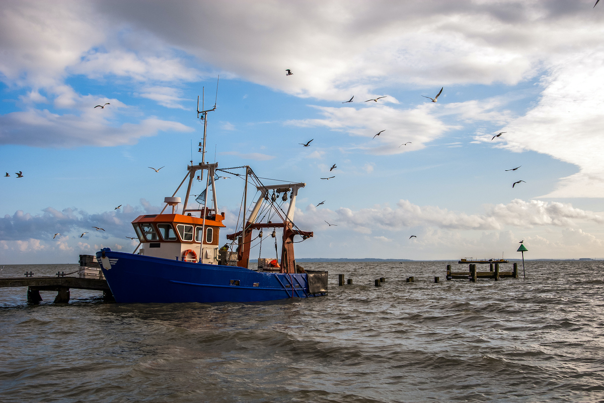 Southend-on-Sea, U.K. 2014. Photo: iStock.com/Fredrik_Granlund