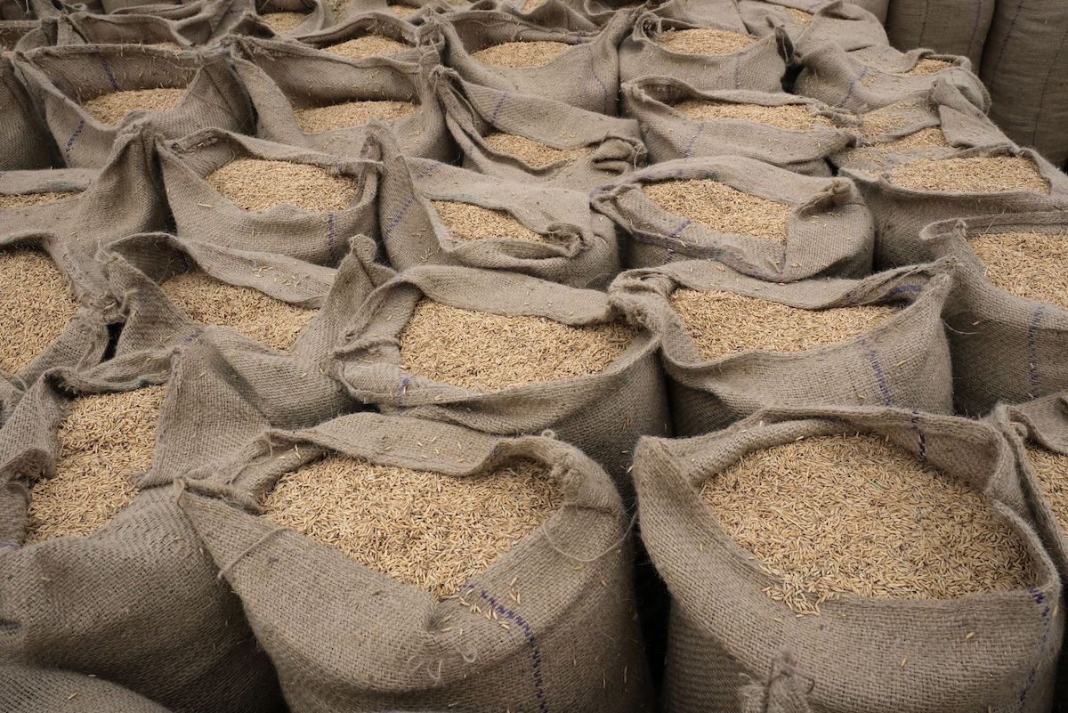 Ambala, India. October 2022. Photo: T. Narayan/Bloomberg