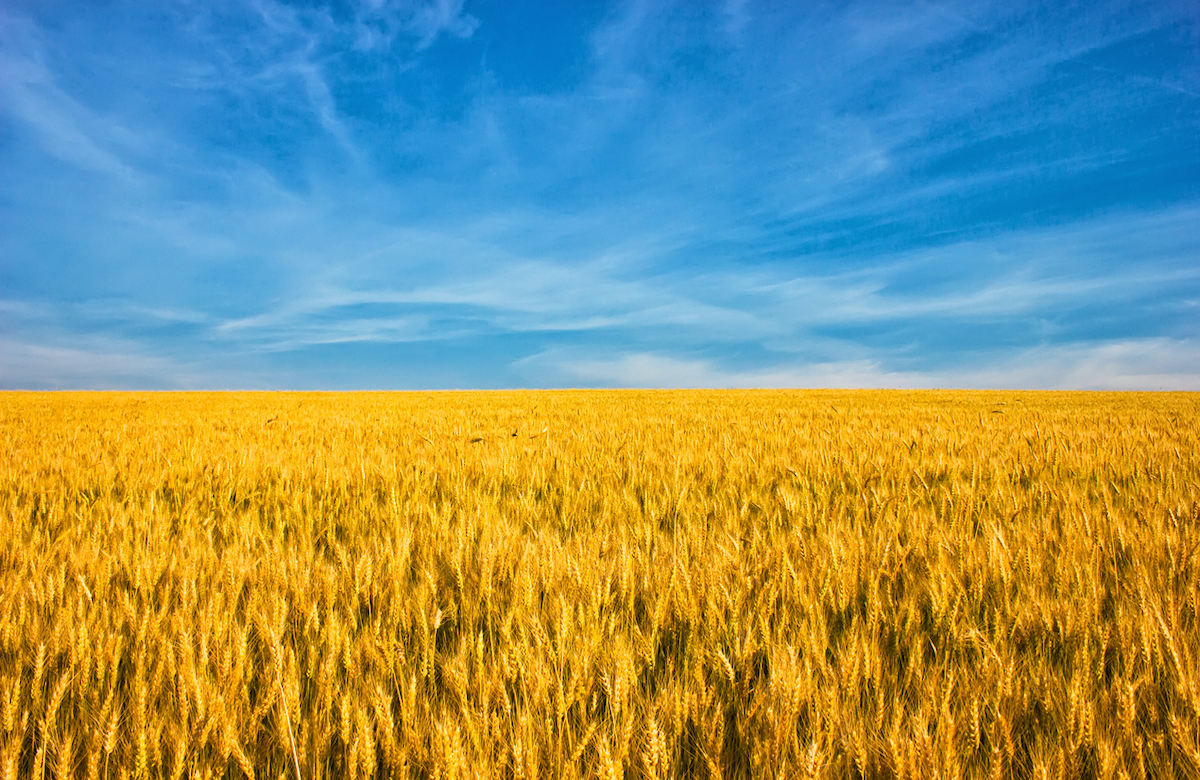 Photo: iStock.com/alzay