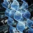 DNA