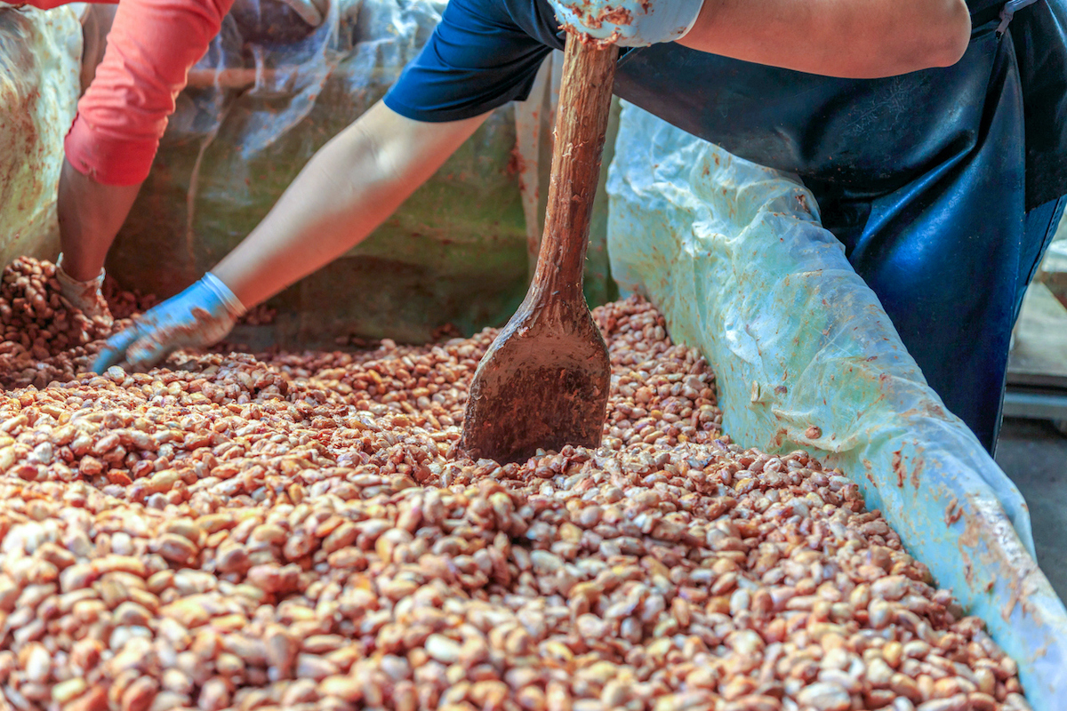 Photo: iStock / Narong KHUEANKAEW