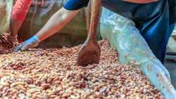 Photo: iStock / Narong KHUEANKAEW