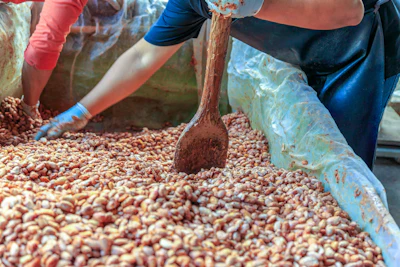 Photo: iStock / Narong KHUEANKAEW