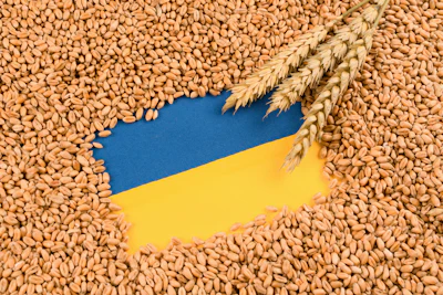 Photo: iStock.com/Iryna Mylinska