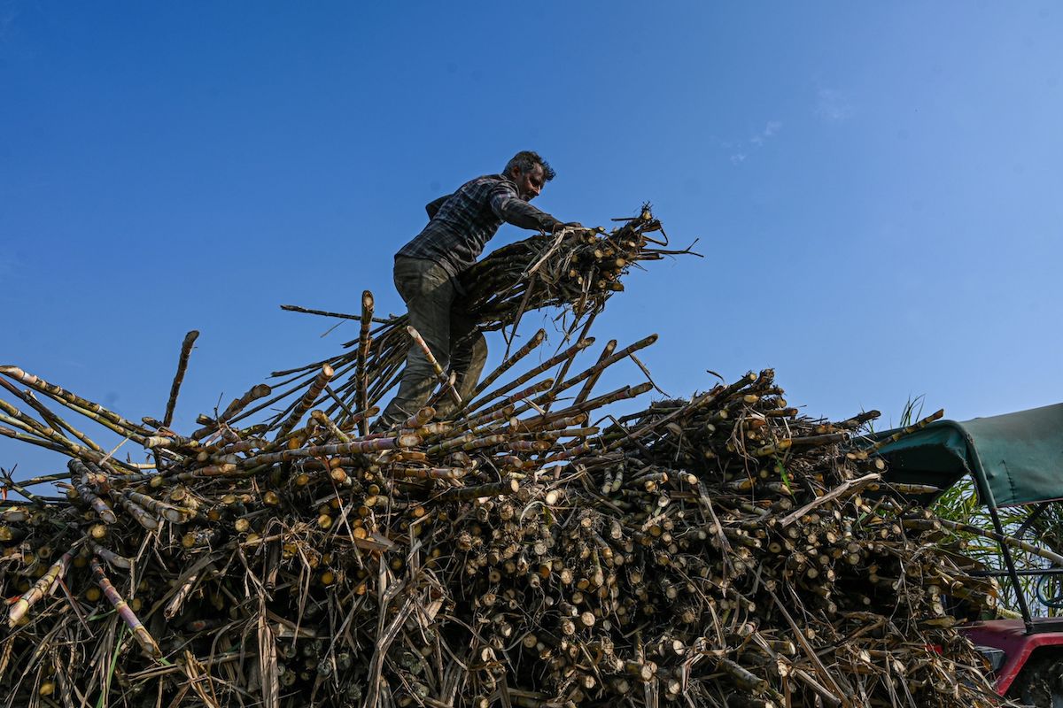 Uttar Pradesh, India. Photo: Bloomberg