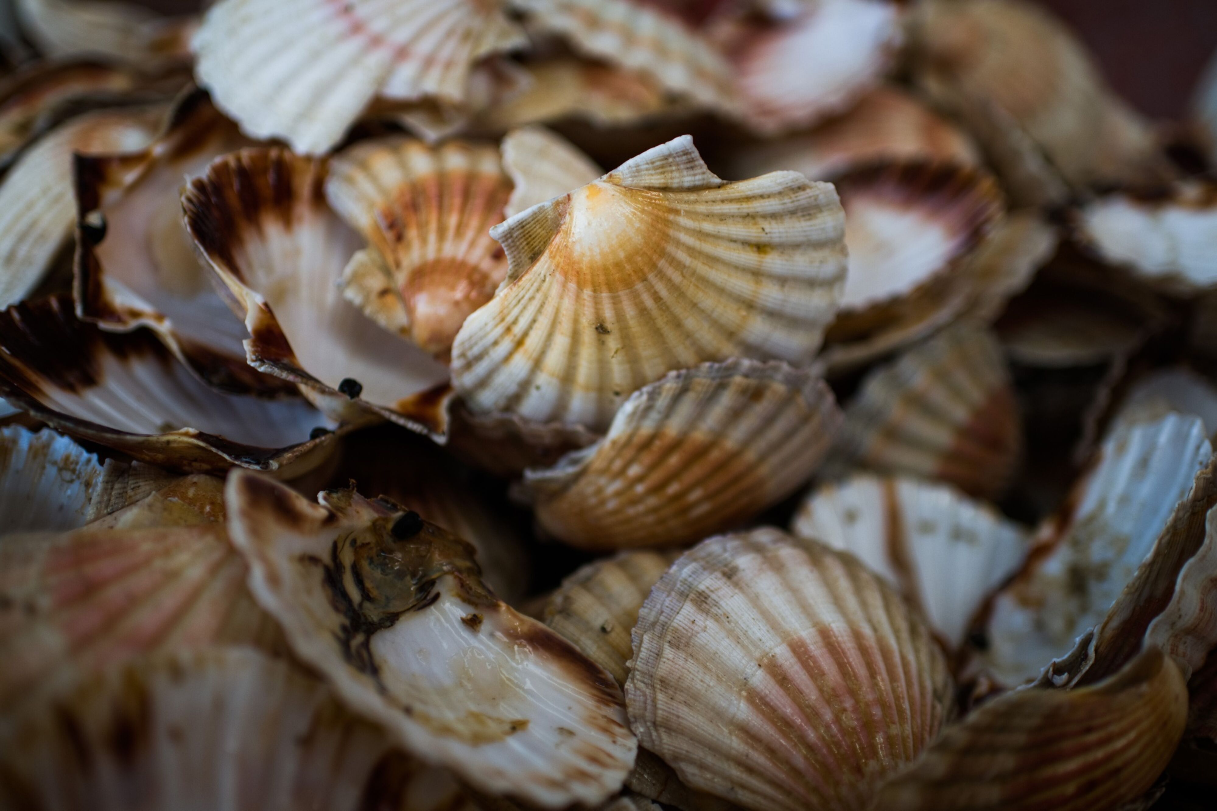 Port of Dieppe, France. Photo: Nathan Laine/Bloomberg