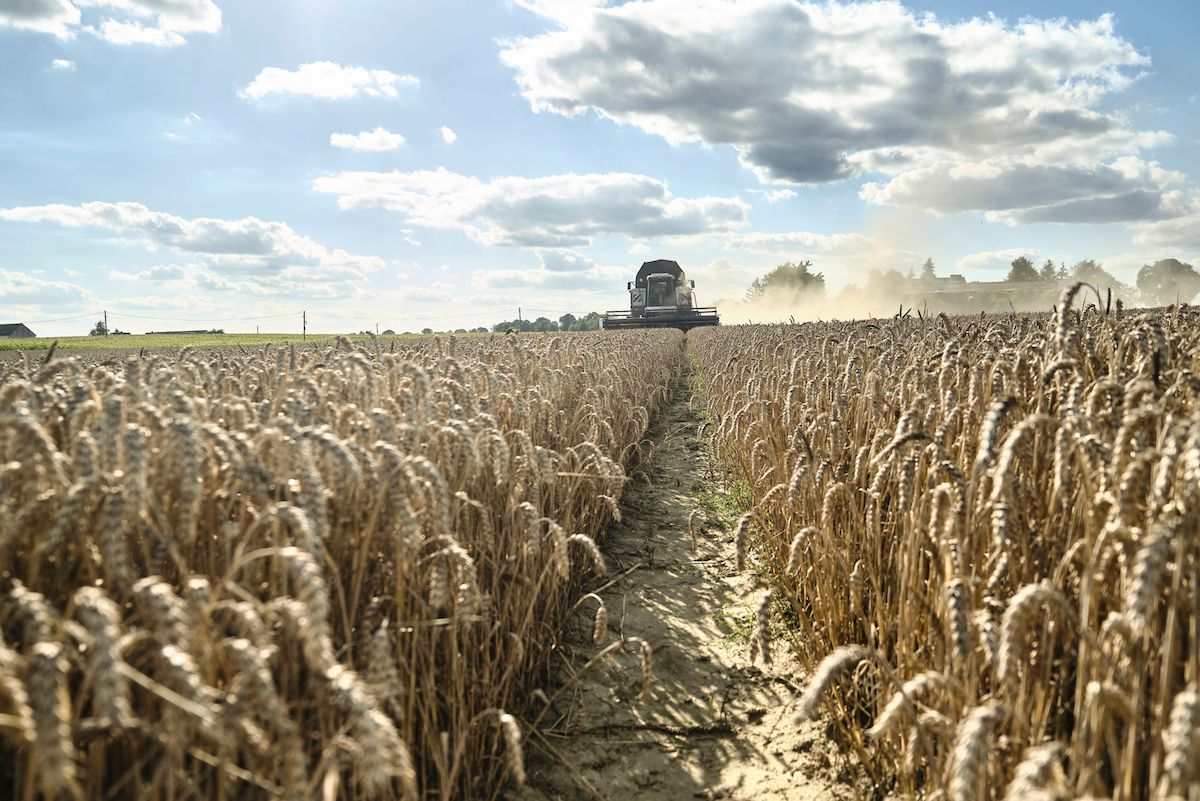 Torun, Poland. Photo: Bartek Sadowski/Bloomberg