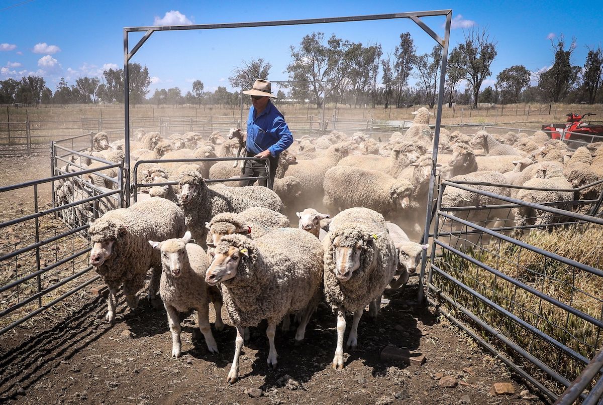 New South Wales, Australia. Photo: Bloomberg