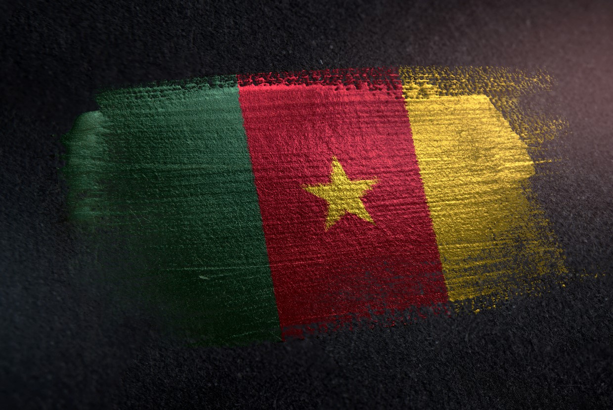 Cameroon is deemed “very high risk” as a ship registry by authorities. Photo: iStock.com/NatanaelGinting