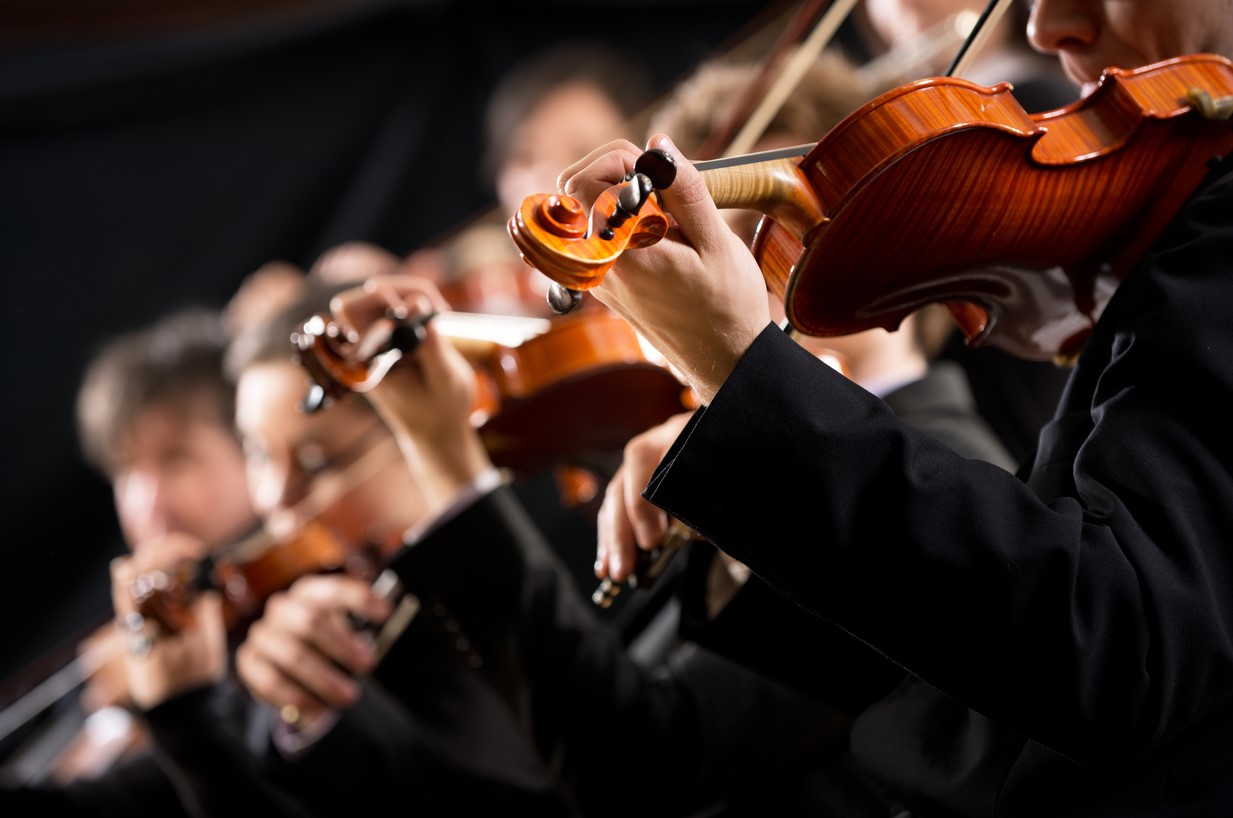 Photo: iStock.com/cyano66