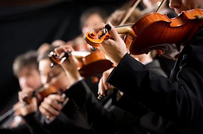 Photo: iStock.com/cyano66