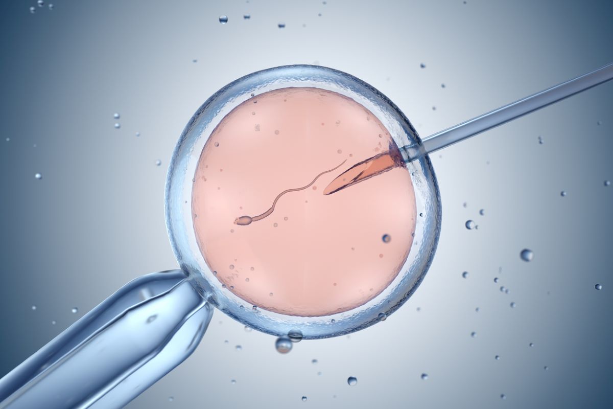 Photo: iStock.com/iLexx