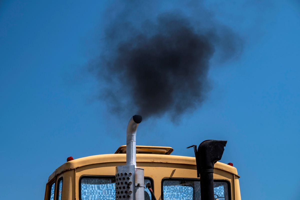 Photo: iStock.com/Tramino
