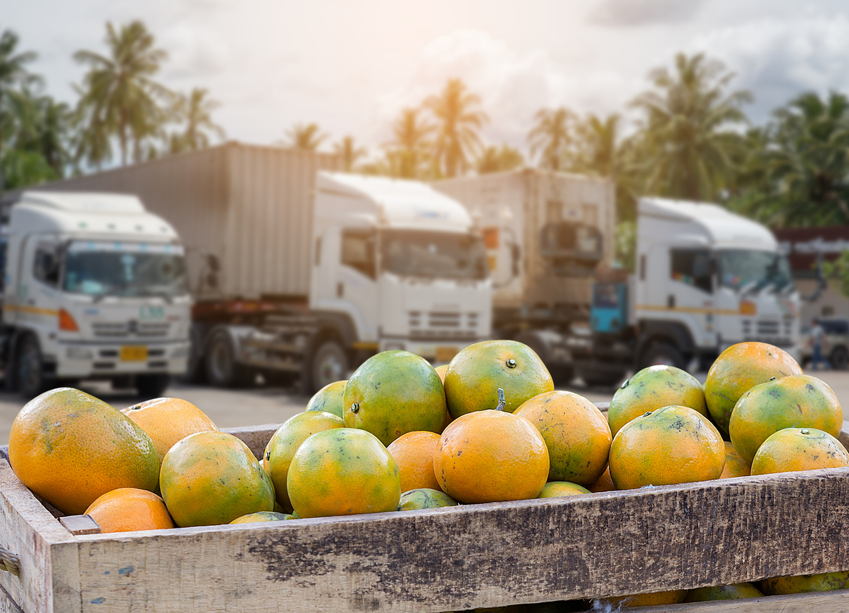 Photo: luamduan, iStock