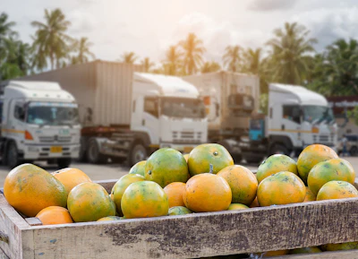 Photo: luamduan, iStock