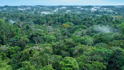 Photo: Maris Maskalans, iStock