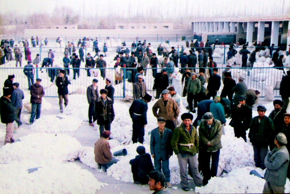 Xinjiang in 1996. Uygur people waiting for buyers for their harvest of cotton. Photo: iStock.com/Gujiang xie