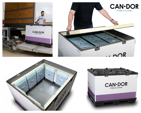 Candor Food Chain Visual Candor