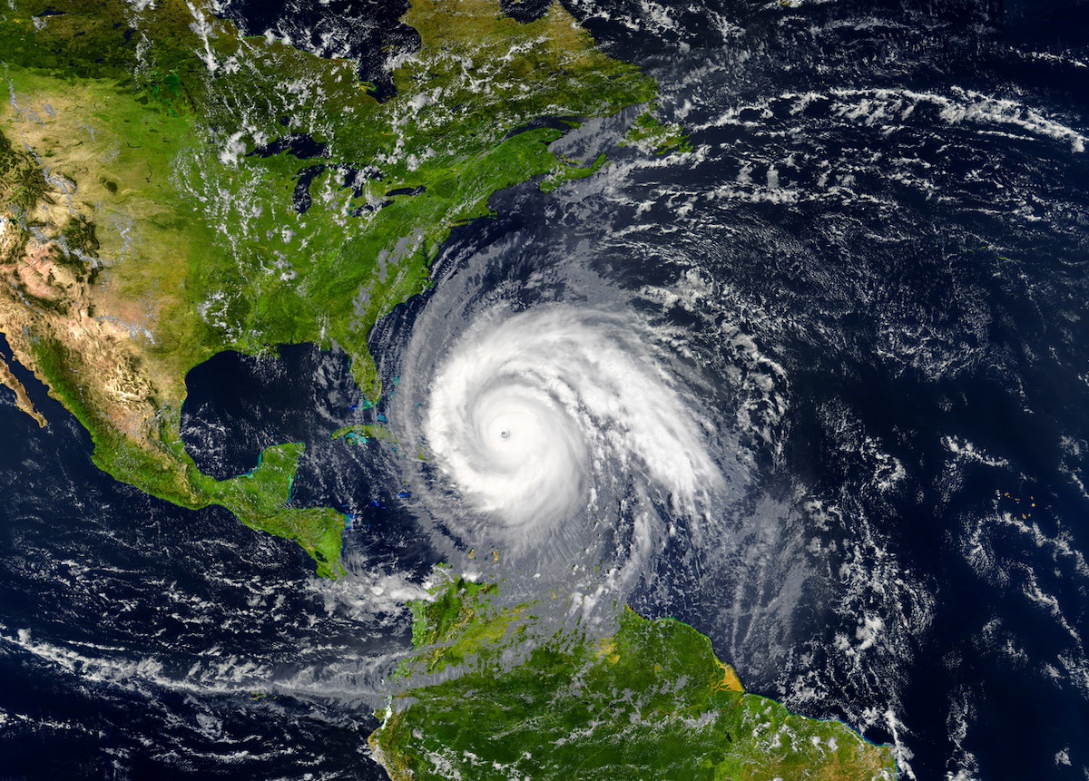 Photo: MikeMareen, iStock
