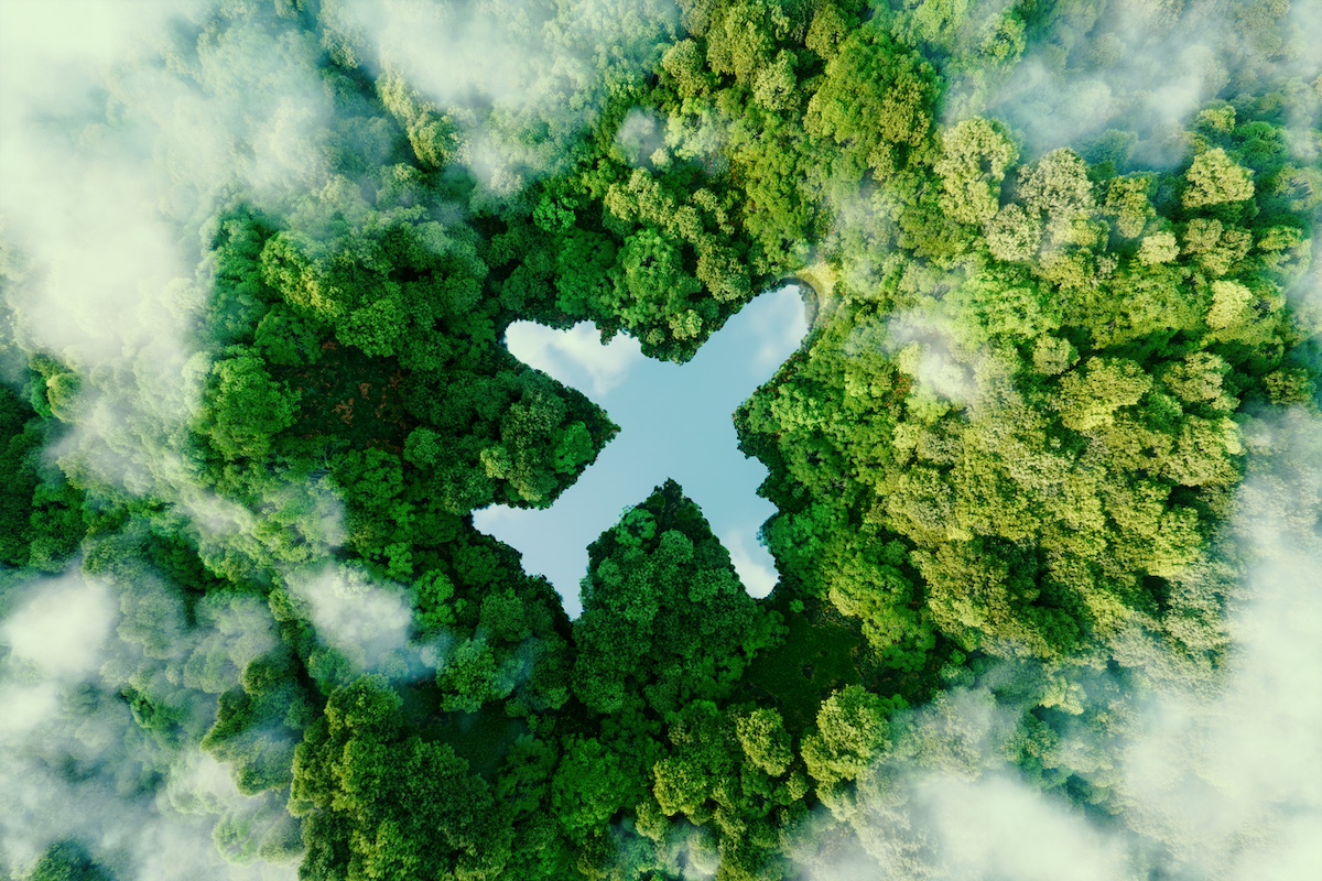 Photo: iStock / Petmal