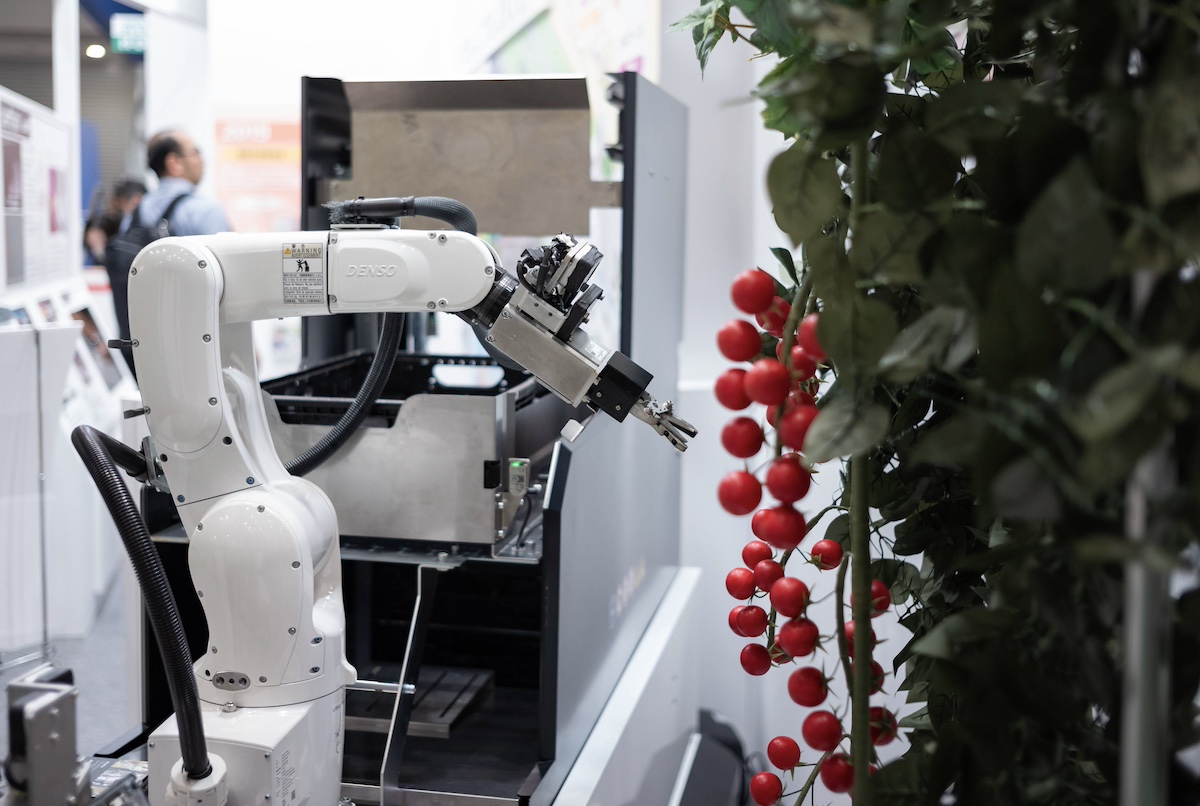 Denso's automatic tomato harvesting robot. Photographer: Nicholas Takahashi/Bloomberg