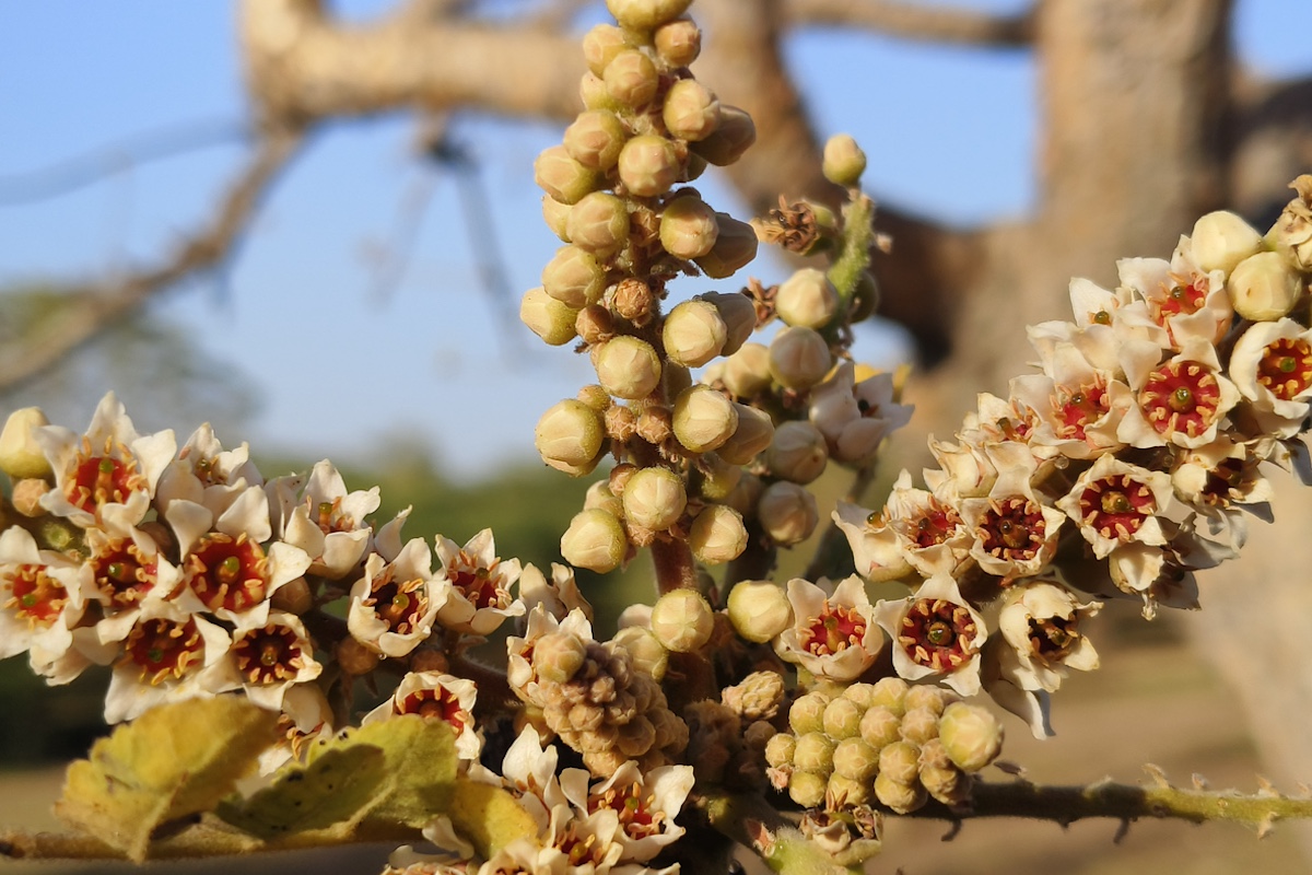 Photo: istockphoto.com/portfolio/JayantibhaiMovaliya