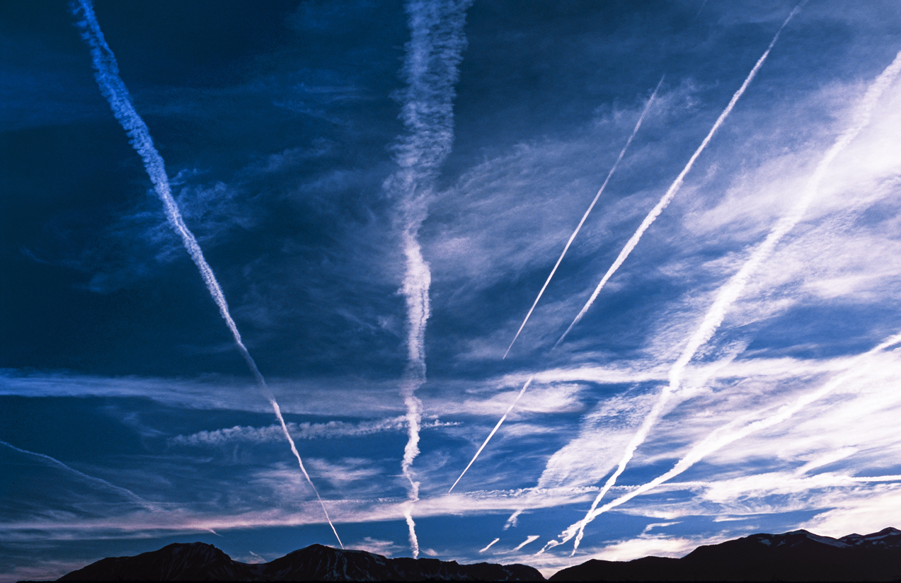Photo: iStock/GomezDavid
