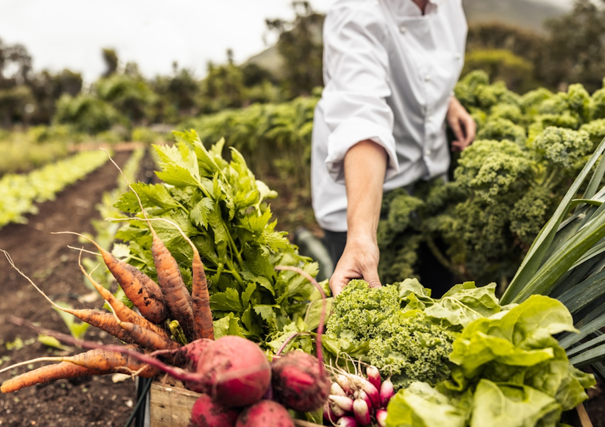 Photo: iStock / jacoblund