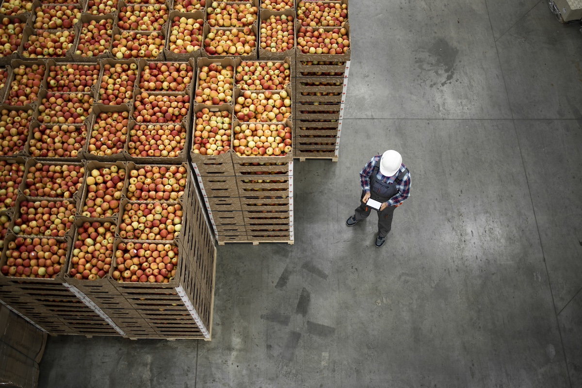 Photo: iStock / Smederavac