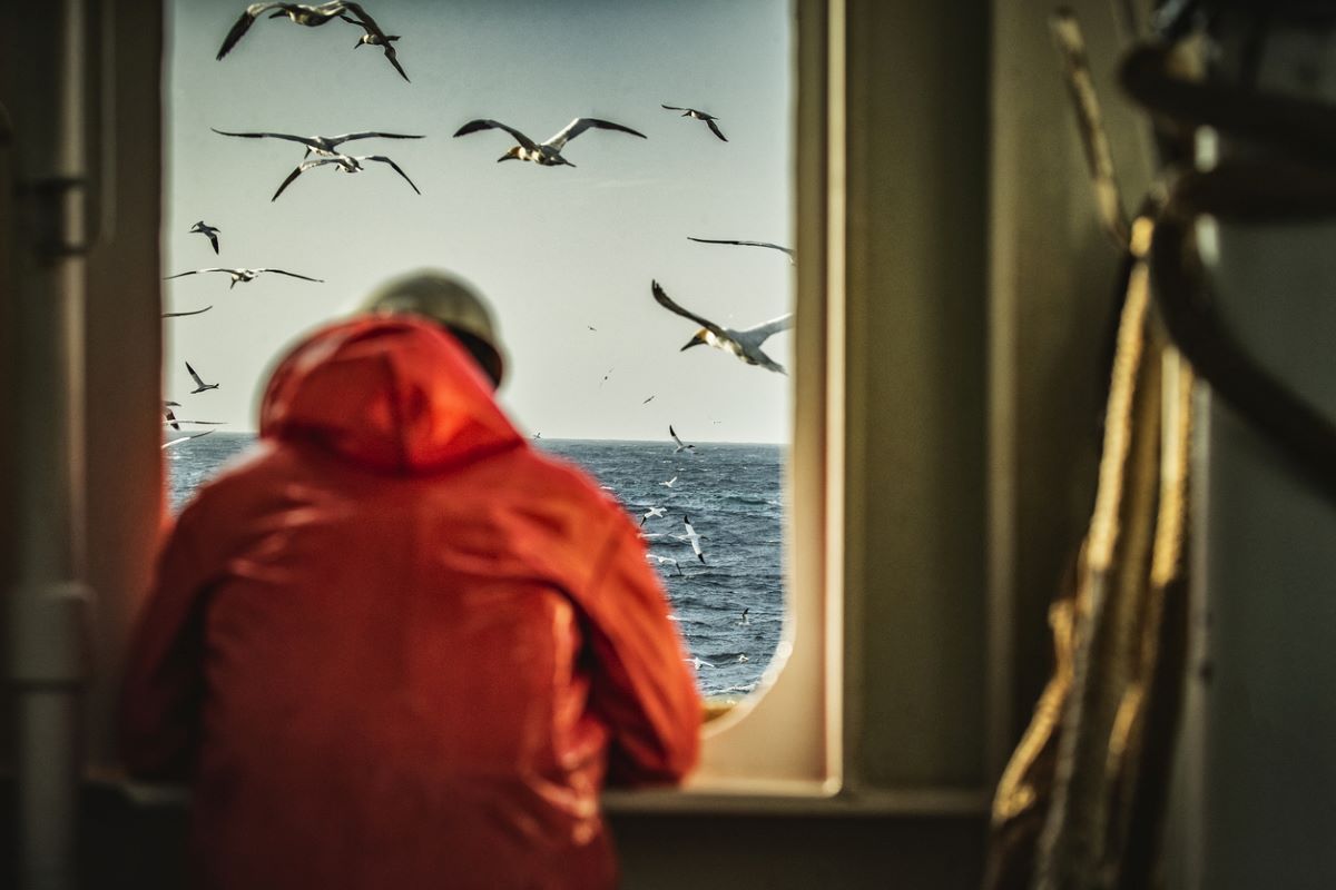 Photo: iStock/piola666