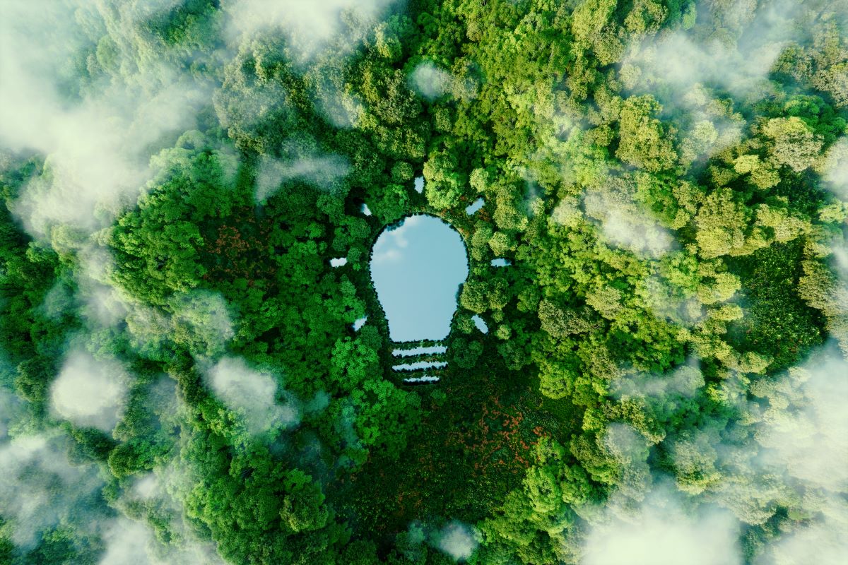 Image: iStock/Petmal