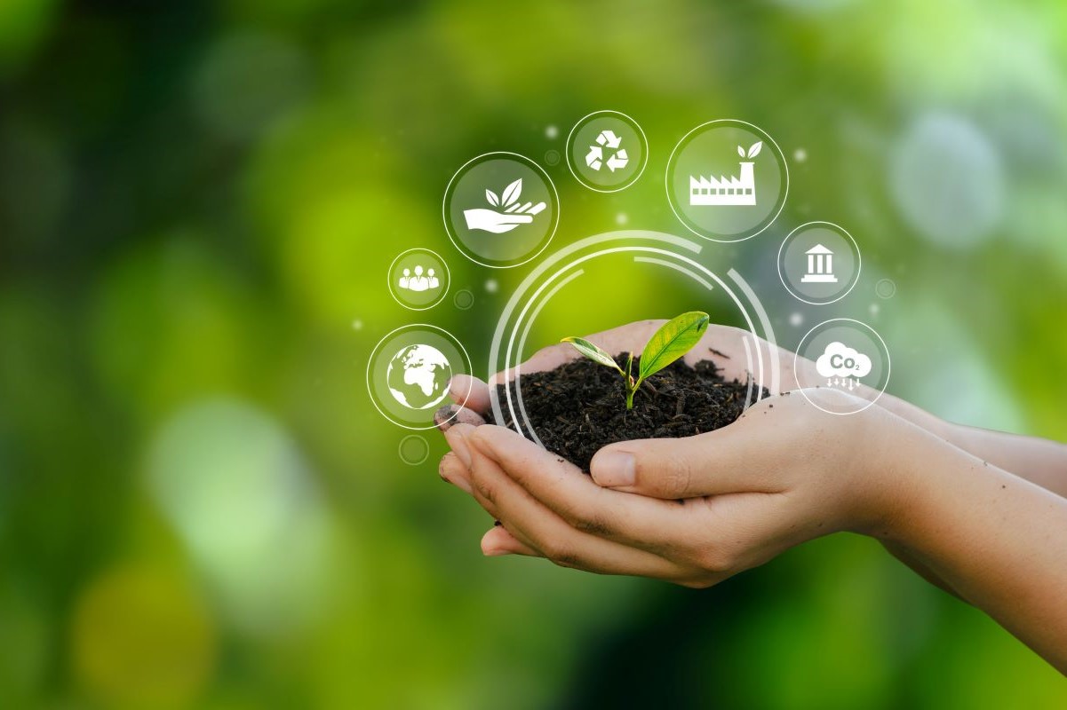 Image: iStock/Sakorn Sukkasemsakorn