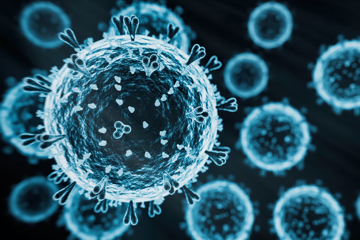 Avian Flu Virus H5 N1 I Stock Koto Feja 2150341687
