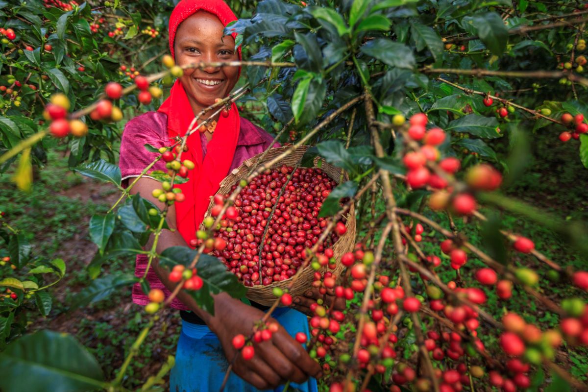 Photo: iStock/hadynyah