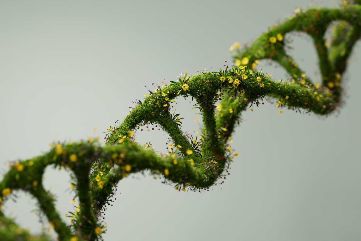 Image: iStock/Just_Super