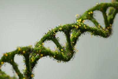 Image: iStock/Just_Super