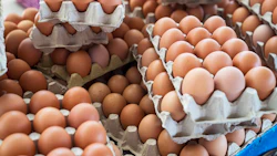 Photo: iStock / ilkersener