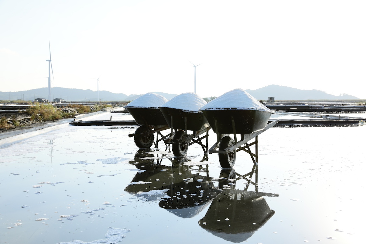 Photo: iStock / VDCM Image
