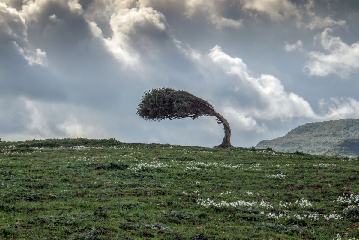 Photo: iStock/Khaled Ladjimi