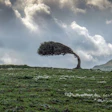 Photo: iStock/Khaled Ladjimi