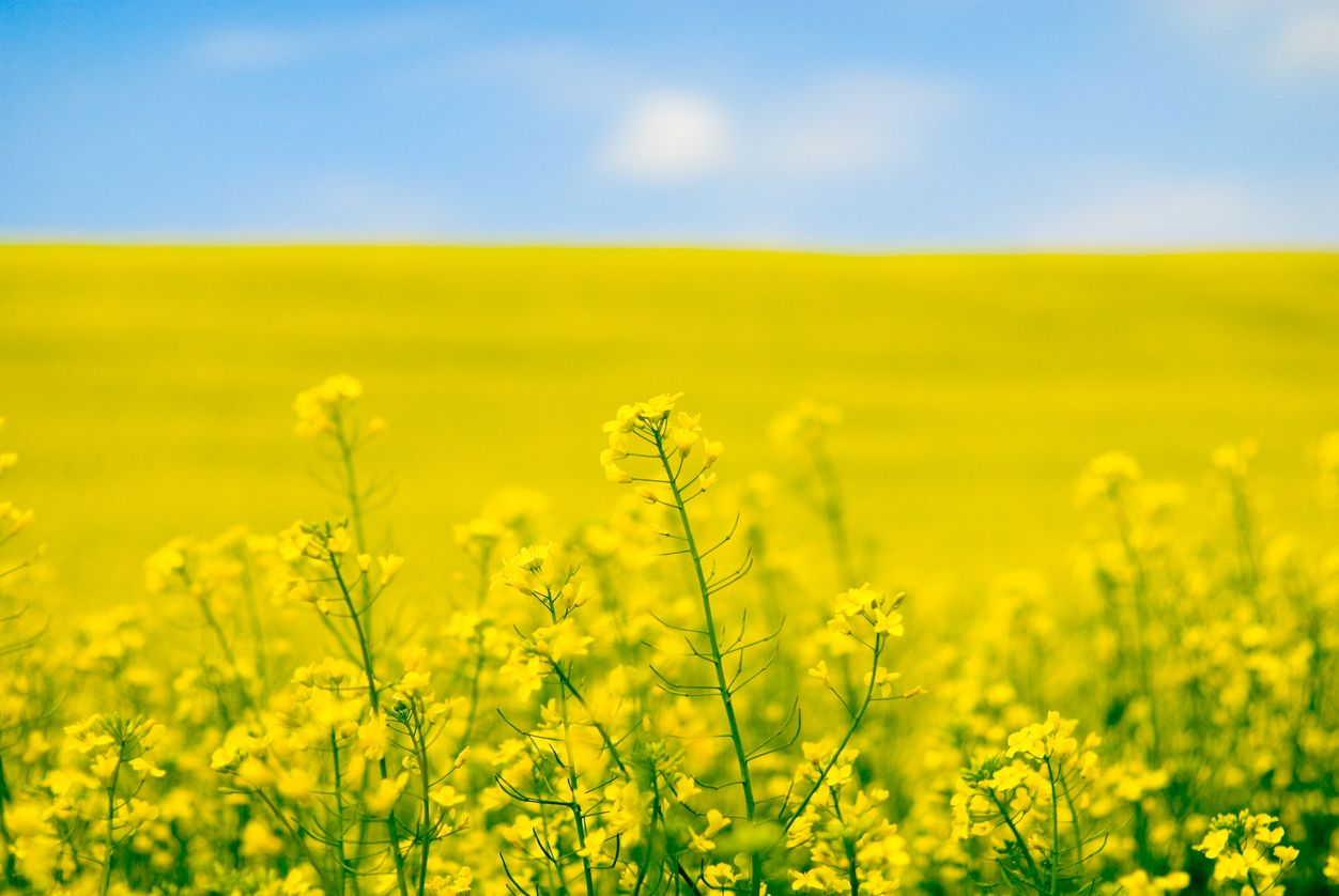 Photo: iStock/alexxx1981