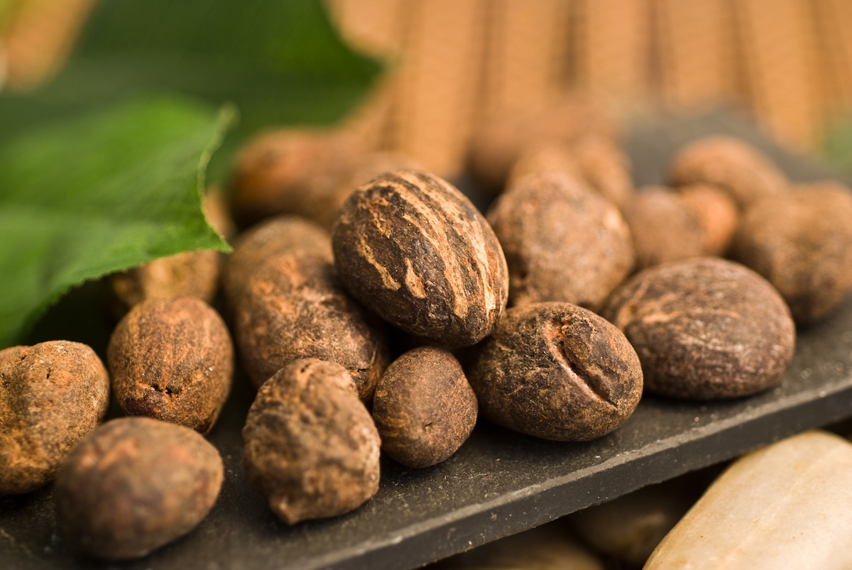 Nigeria accounts for nearly 40% of the world's shea crop. Photo: iStock / luisapuccini