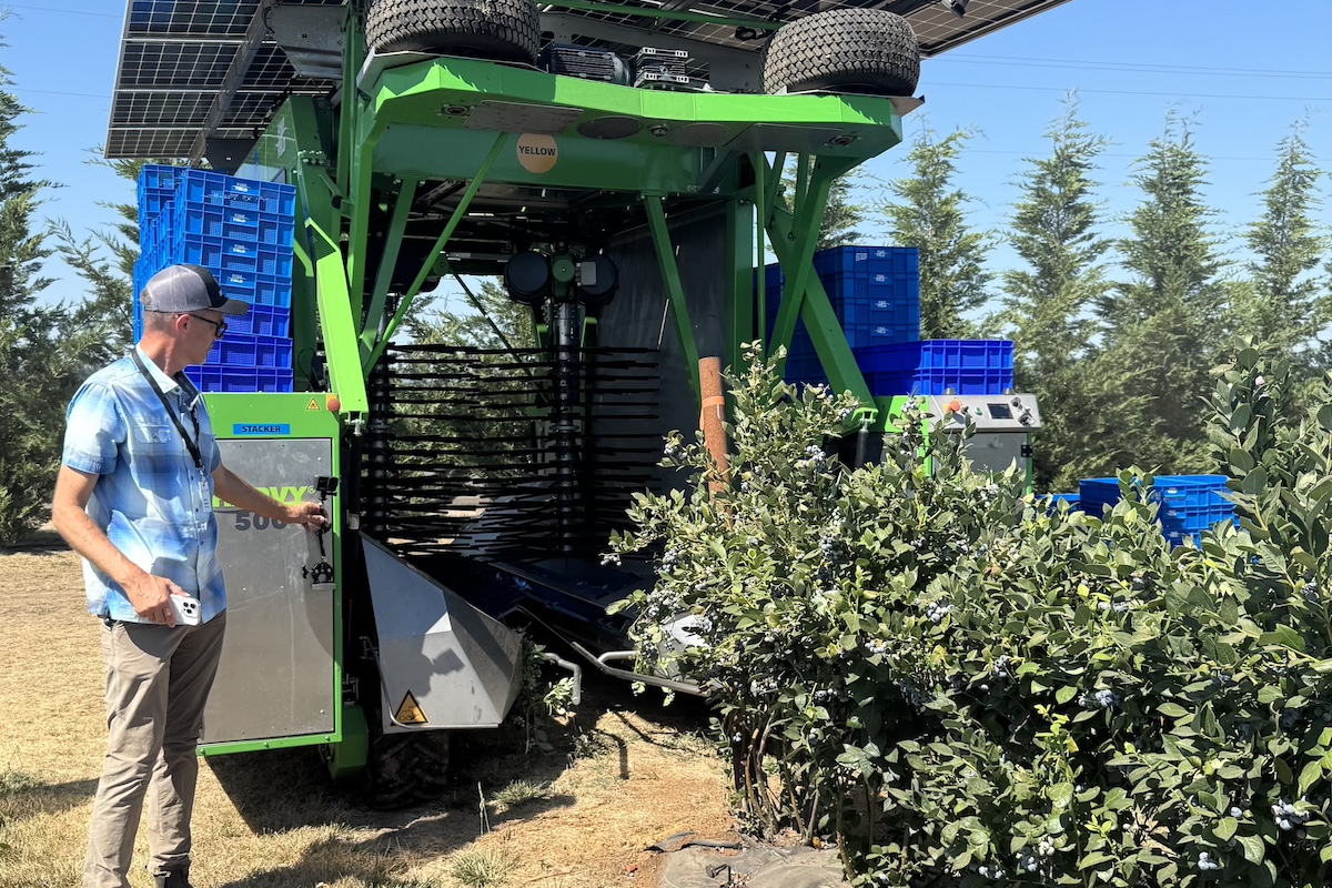 Innov8.ag CEO Steve Mantle an agtech data services and automation provider, inspects a FineField Harvy 500 being used for a late-season harvest at an Oregon blueberry farm. Photo: Courtesy of Innov8.ag.