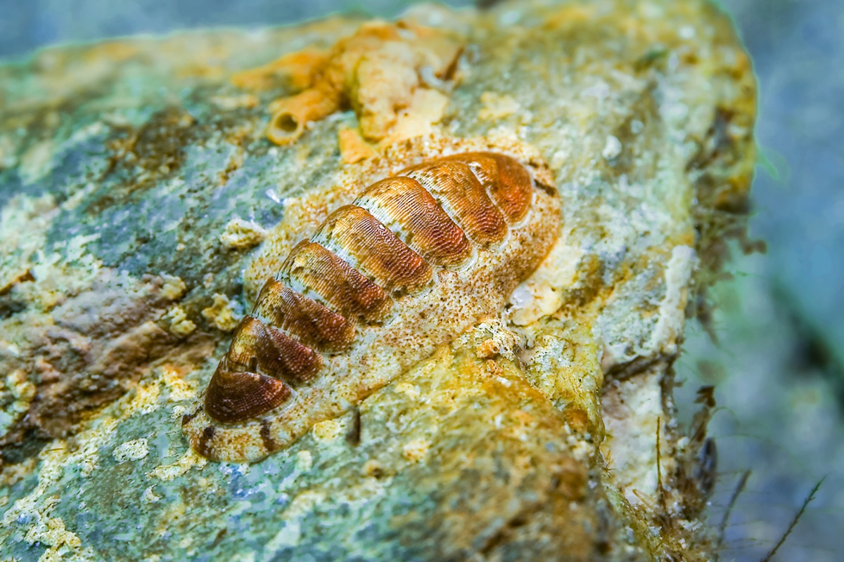 Photo: iStock / Al Carrera