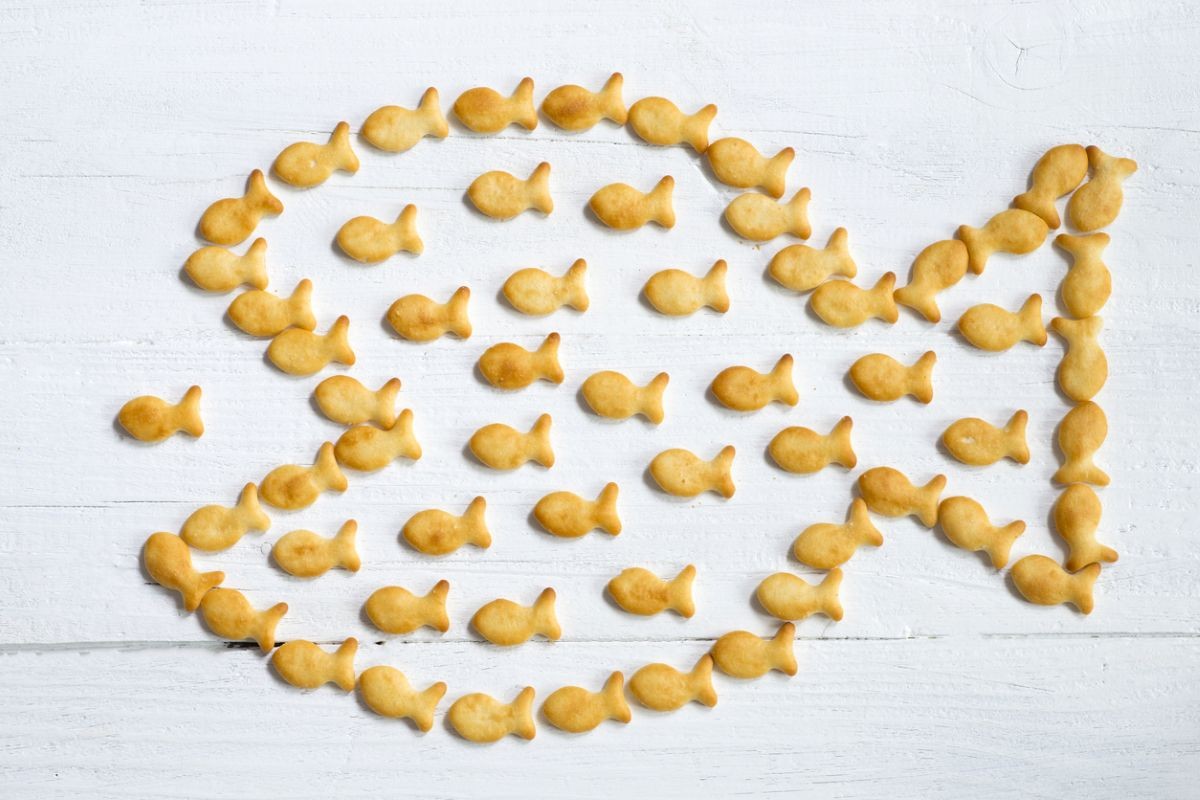 Photo: iStock/adrian825