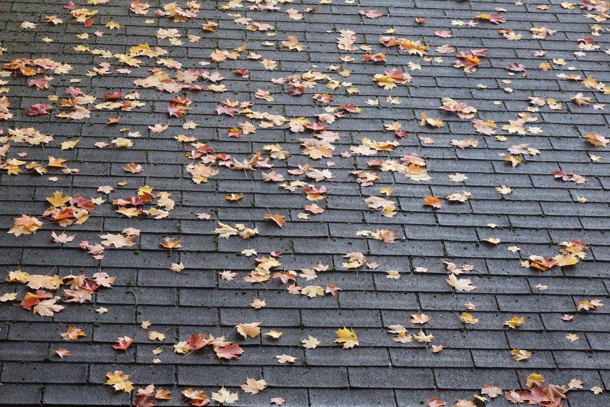Photo: iStock/artiste9999