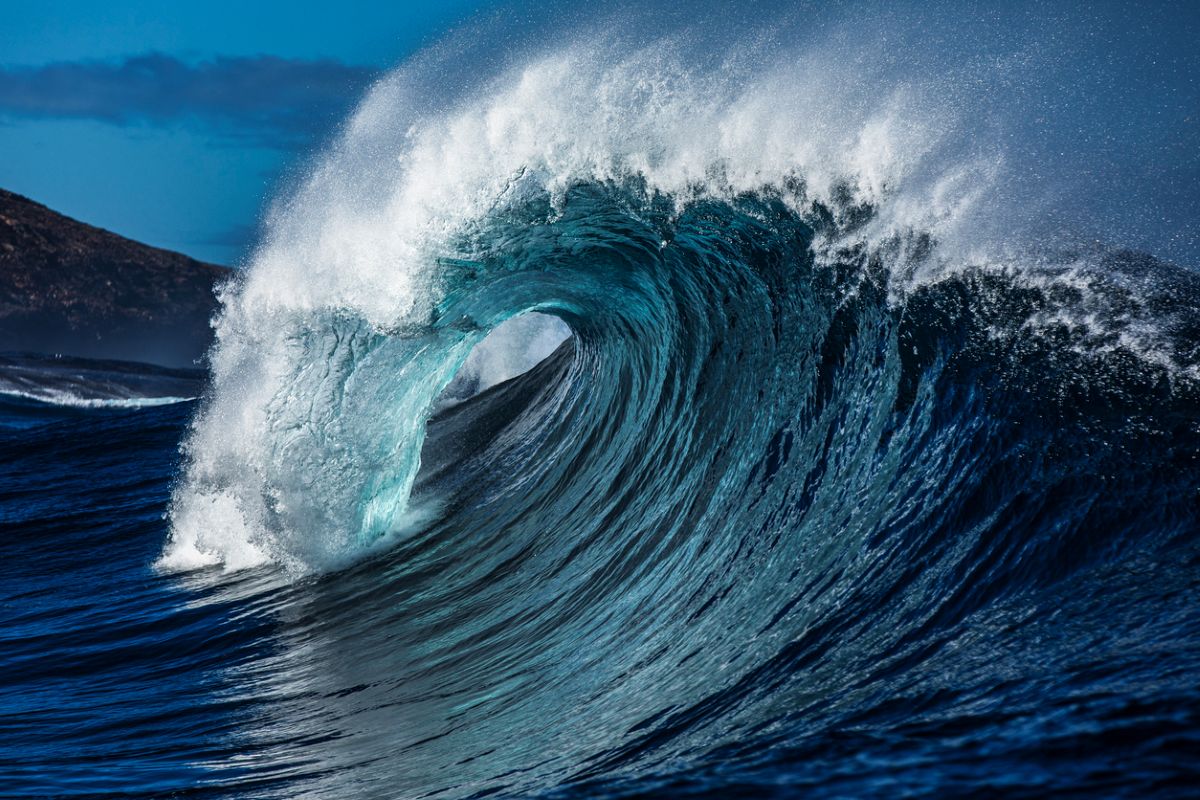 Photo: iStock/Philip Thurston